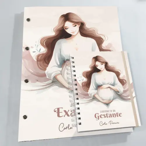 Kit Pasta Catálogo + Caderneta Gestante - Nude