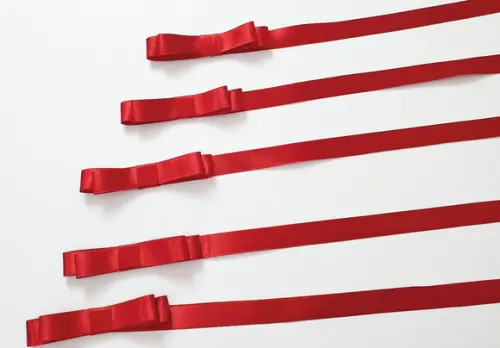 Laço Duplo Cetim Nº 2 com Extensão de 20 cm