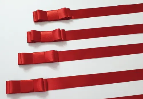 Laço Duplo Cetim Nº 5 com Extensão de 60 cm