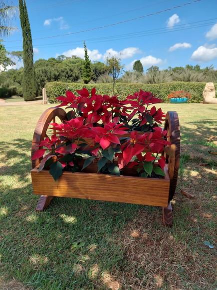 Floreira de Chão Roda de Carroça Jardinagem