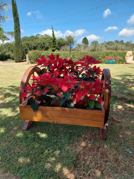 Floreira de Chão Roda de Carroça Jardinagem