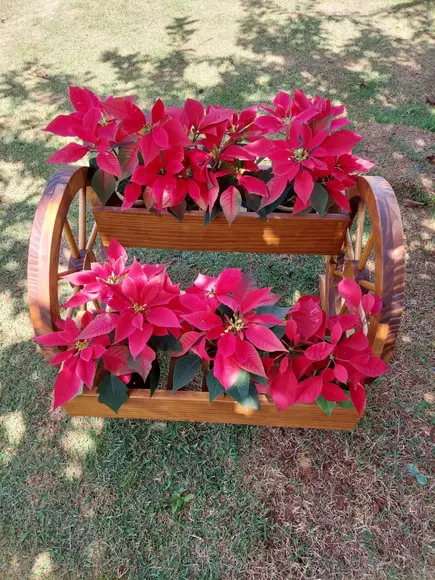 Floreira de Chão Roda de Carroça Jardinagem