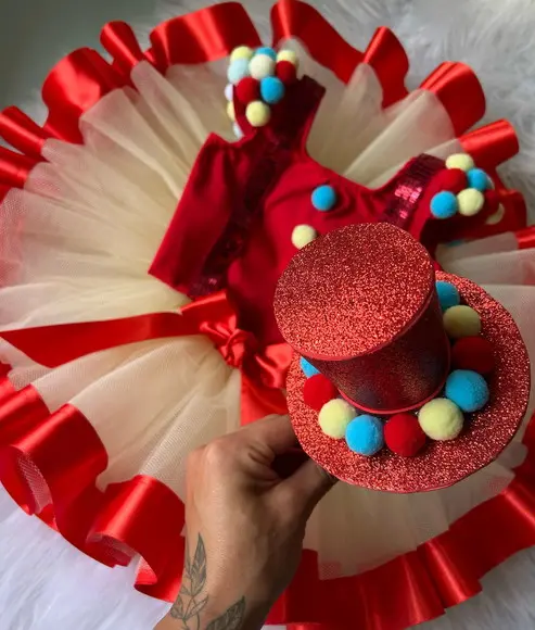 Fantasia Circo Palhacinha