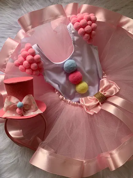 Fantasia Circo Palhacinha Infantil Rosa