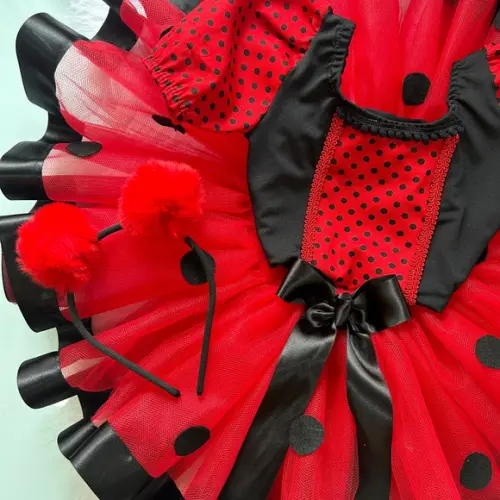 Fantasia Joaninha Infantil Tutu