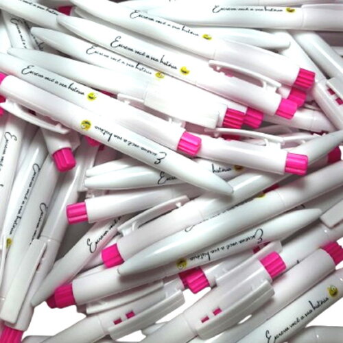 1000 Canetas Personalizadas Modelo 1091