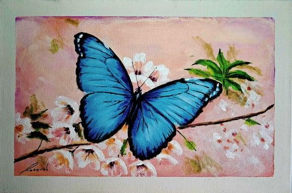 Borboleta 7