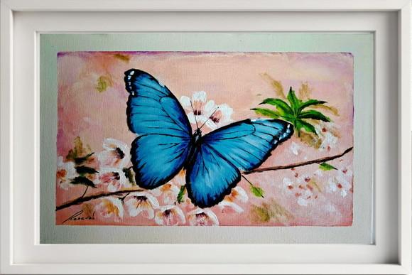 Borboleta 7