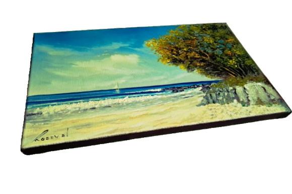 Paisagem 15