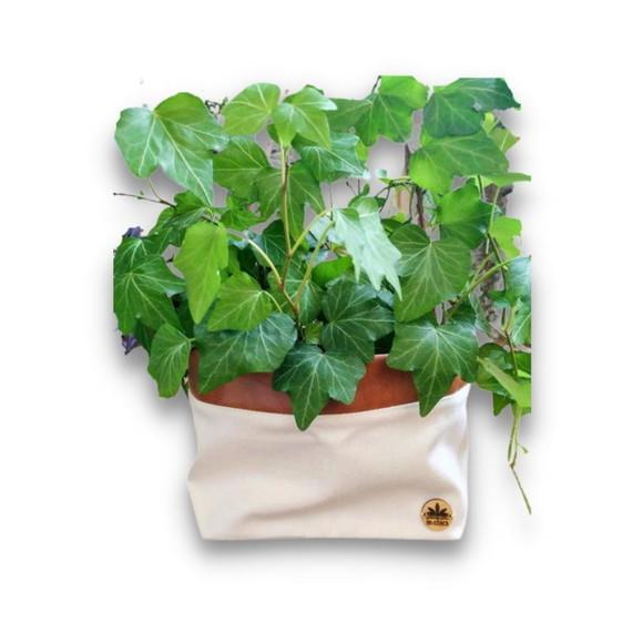 Cachepô Borda Couro Caramelo - Vaso Cuia