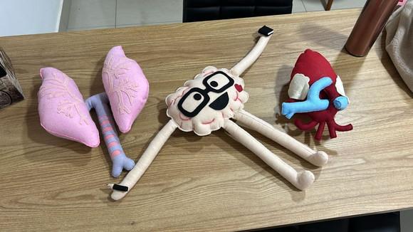 3 Órgãos Humanos de Feltro