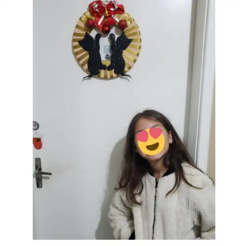 Guirlanda Pet Tema Natal 2 Gatos