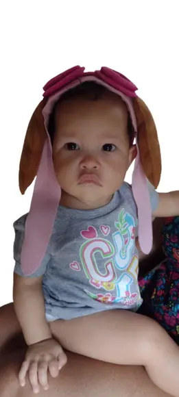 Tiara Skye Patrulha Canina