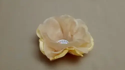 Forminha Papoula Portuguesa