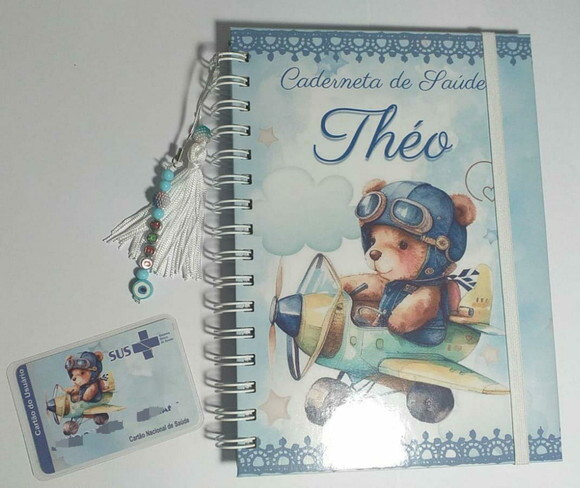 Caderneta de Saúde e Cartão Sus- Urso Aviador