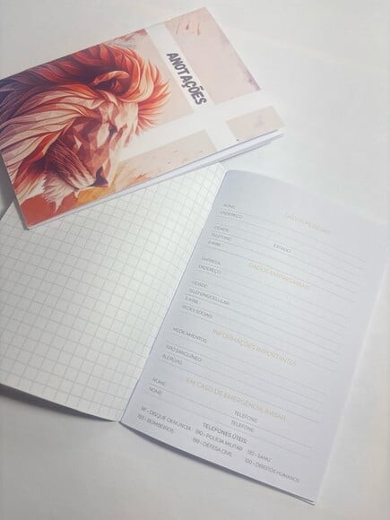 Caderno Brochura - Leão