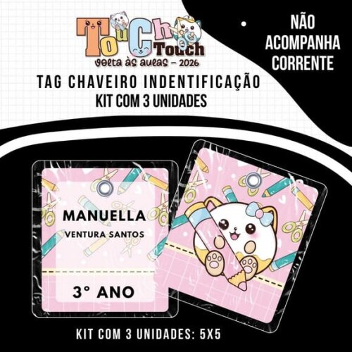 Kit 3 Chaveiros Tag Identificação