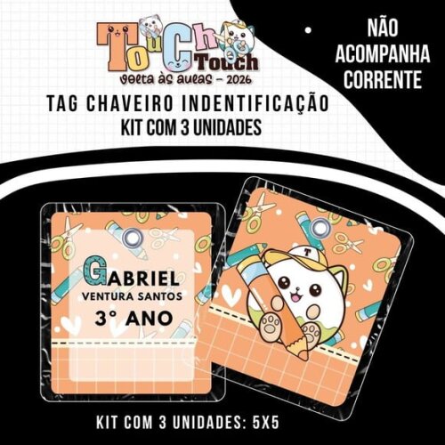 Kit 3 Chaveiros Tag Identificação