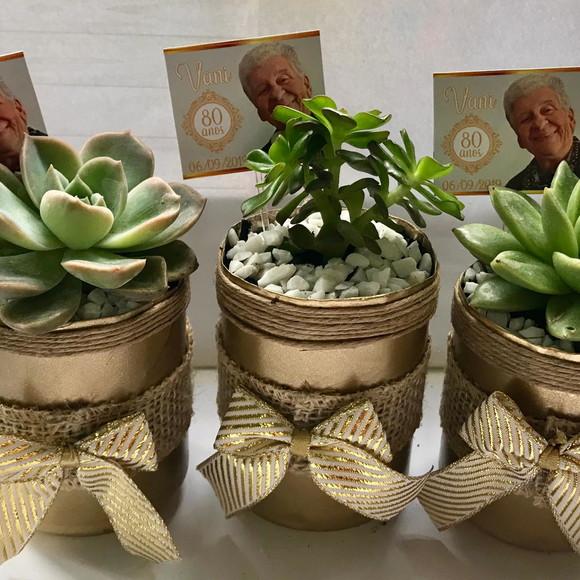 Suculenta na latinha