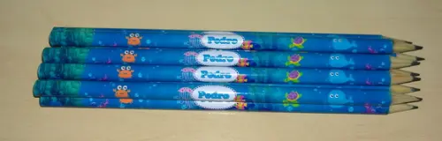 Lápis de Escrever Personalizado
