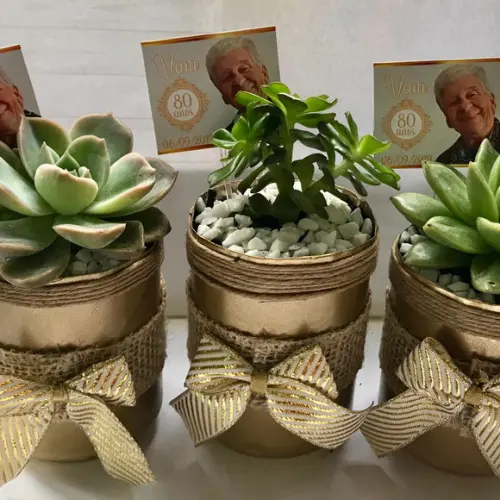 Suculenta na latinha