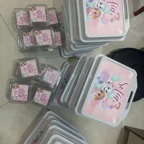 Kit Adesivos Skye e Everest ? Maleta, Garrafinha e Bolo