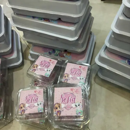 Kit Adesivos Skye e Everest ? Maleta, Garrafinha e Bolo