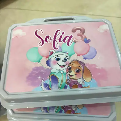 Kit Adesivos Skye e Everest ? Maleta, Garrafinha e Bolo
