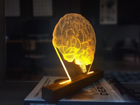 Abajur Led cérebro