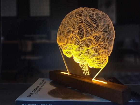 Abajur Led cérebro