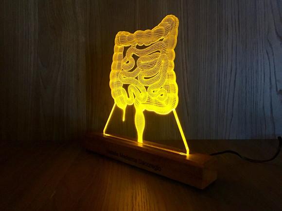 Luminária De Mesa Intestino