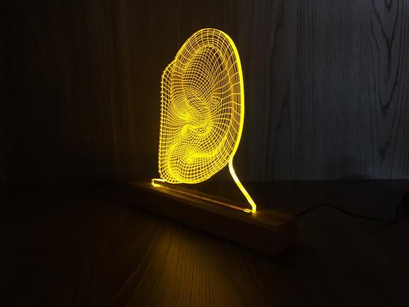 Luminária Led Efeito 3d Otorrinolaringologia