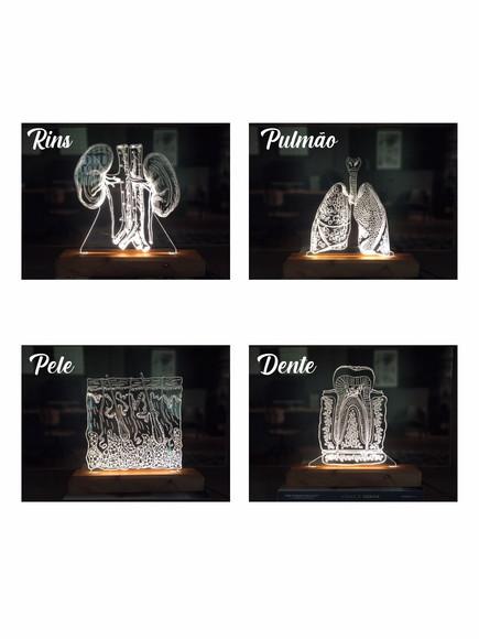 Luminária Led Órgãos Humanos - Modelos para sua escolha