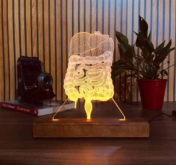 Luminária Led Sistema Digestivo