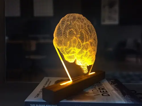 Abajur Led cérebro
