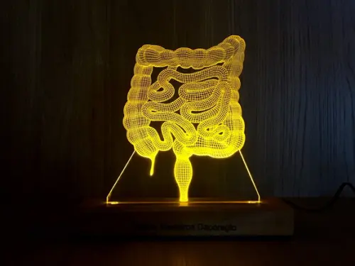 Luminária De Mesa Intestino