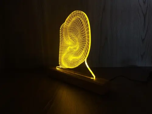 Luminária Led Efeito 3d Otorrinolaringologia