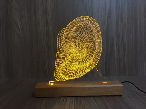 Luminária Led Efeito 3d Otorrinolaringologia