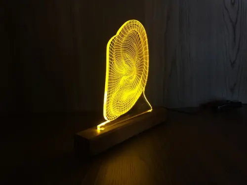 Luminária Led Efeito 3d Otorrinolaringologia