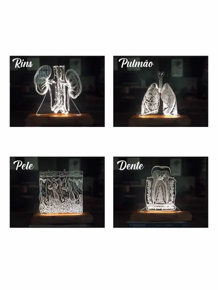 Luminária Led Órgãos Humanos - Modelos para sua escolha