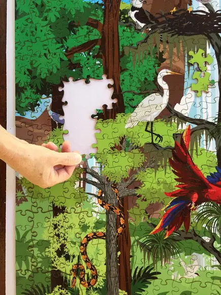 Quebra cabeça floresta tropical 98x77cm 1014 pçs