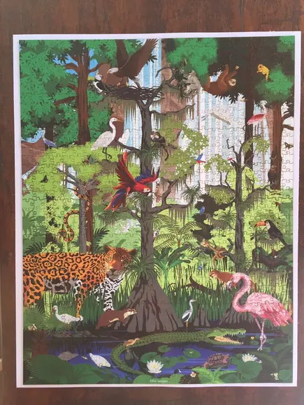 Quebra cabeça floresta tropical 98x77cm 1014 pçs