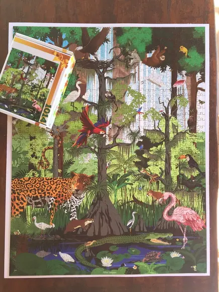 Quebra cabeça floresta tropical 98x77cm 1014 pçs