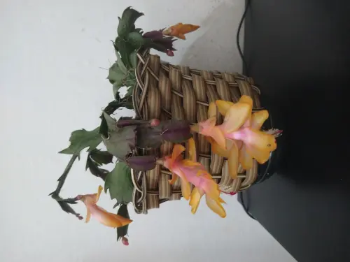 Caminho de mesa em crochê