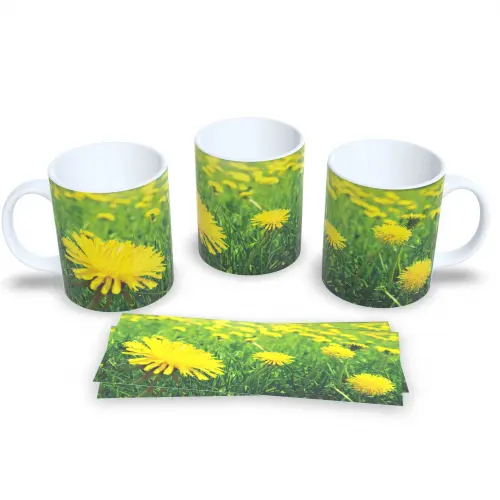 Caneca De Cerâmica Floral Presente Criativo Delicado