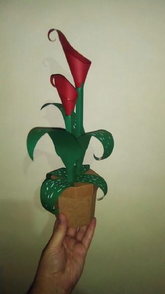 Arquivo Silhouette Caixa Flor Calla