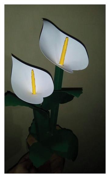 Arquivo Silhouette Caixa Flor Copo de leite