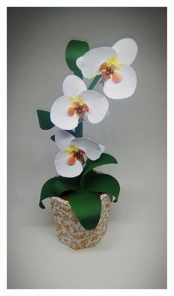 Arquivo Silhouette Caixa Flor orquídea branca