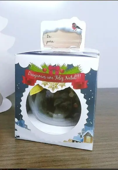 Arquivo De Corte esfera natal