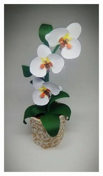 Arquivo Silhouette Caixa Flor orquídea branca